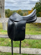 Amerigo vega dressage for sale  Canaan