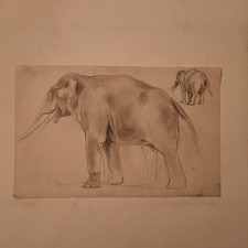 Dessin ancien animalier d'occasion  Paris XX