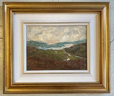 Quadro dipinto olio usato  Varallo Pombia