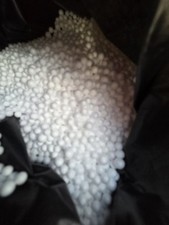 polystyrene beads for sale polystyrene beads for sale SOUTHAM