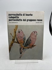 Parrocchetto bourke calopsitte usato  Roma