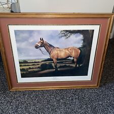 Red rum race for sale  BRIDLINGTON