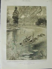 Original old antique for sale  UK