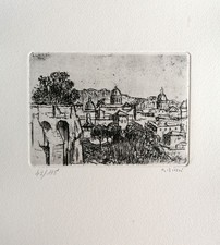 Alberto ziveri acquaforte usato  Sesto San Giovanni