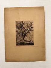 Célestin nanteuil forêt d'occasion  Paris XIX