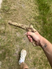 Stick gun for sale  WEYMOUTH