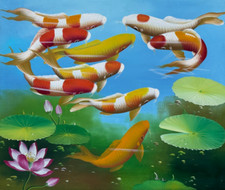 Koi fish oil for sale  Hempstead