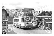 Bus photograph western for sale  ALFRETON