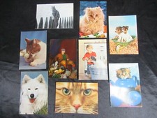 Lotto cartoline cani usato  Russi
