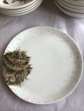 Bnwot royal worcester for sale  STOKE-ON-TRENT