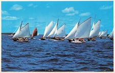 Postcard boat races for sale  Bourbonnais