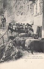 Moutons cascade loup d'occasion  Vasles