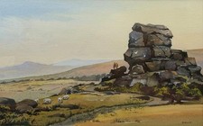 View dartmoor national for sale View dartmoor national for sale  LONDON