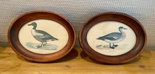Entenbilder vitage val gebraucht kaufen  Hamburg