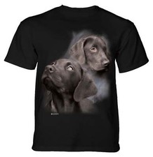 Black labs adult for sale  USA