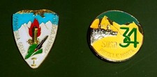 Distintivi alpini metallo usato  Bedizzole