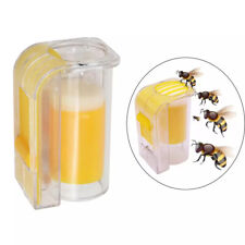 Beekeeping bee queen for sale  HATFIELD