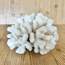 Natural real coral for sale  Clearlake Oaks