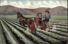 Farming agriculture horse for sale  South Portland