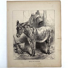 Antique 1879 engraving for sale  Watertown