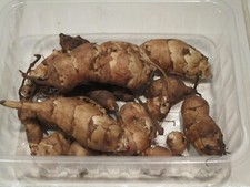 jerusalem artichokes for sale jerusalem artichokes for sale SHEFFORD