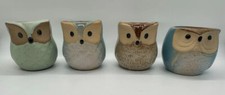 Owl succulent small for sale  Norfolk