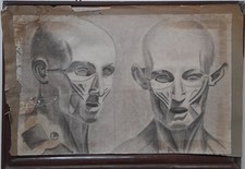Dessins buste écorché d'occasion  Paris XV