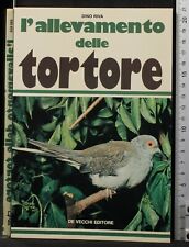 Allevamento delle tortore. usato  Ariccia