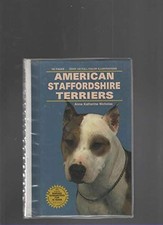 American staffordshire terrier for sale  ROSSENDALE