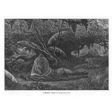 Mosquiteiro ÁFRICA GOLD COAST WAR para descanso de soldados - Estampa antiga 1873 comprar usado Mosquiteiro ÁFRICA GOLD COAST WAR para descanso de soldados - Estampa antiga 1873 comprar usado  Enviando para Brazil