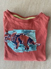 Dinosaurier pullover 92 gebraucht kaufen  Bodenwöhr