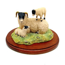 Border fine arts for sale  MIRFIELD