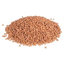 Noccioli ciliegia 750gr usato  Cesena