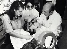 dentiera usato dentiera usato Roma