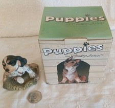 Country artists puppies for sale  GREAT YARMOUTH