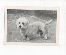 Candy novelty trade for sale  BRISTOL