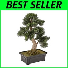 planter cedar 5 for sale  Paulsboro