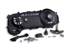 COPRICARTER TRASMISSIONE MALOSSI GILERA RUNNER - PIAGGIO ZIP SP LC C-ONE/RC-ONE na sprzedaż  Wysyłka do Poland