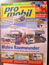 Pro mobil dethleffs gebraucht kaufen  Weidenberg