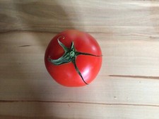 Riginal amela tomaten gebraucht kaufen  Deutschland