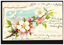 Blumen blumensprache blütenzw gebraucht kaufen  Schwalmtal