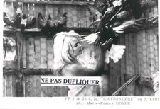 Photo presse originale d'occasion  Fontenay-sous-Bois