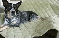 Hugglehounds soft durable for sale  Altoona