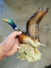 Canard jema holland d'occasion  Cossé-le-Vivien