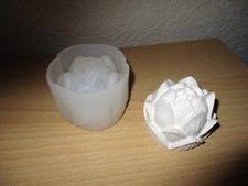 Silikon gießform gebraucht kaufen  Espelkamp