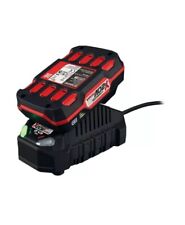 Batteria parkside con usato  Gioia Tauro