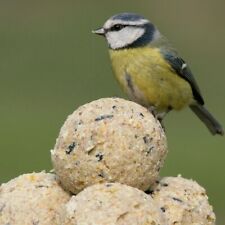 Suet fat balls for sale  MANSFIELD
