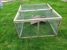 Guinea pig rabbit for sale Guinea pig rabbit for sale  RHYL