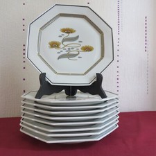 Assiettes plates porcelaine d'occasion  Thiaucourt-Regniéville