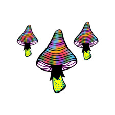 3 X HONGOS Tatuaje Temporal Arte Corporal Magia segunda mano  Embacar hacia Mexico